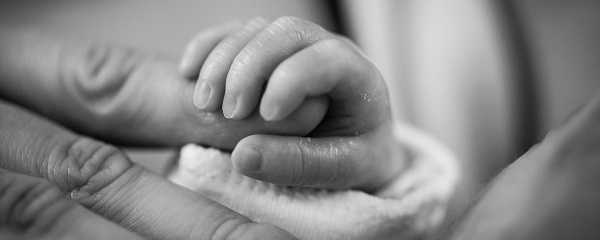 Baby's hand clasping adult finger