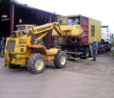 Muheza 11