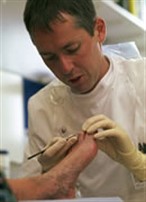 A podiatric surgeon works on a patients foot